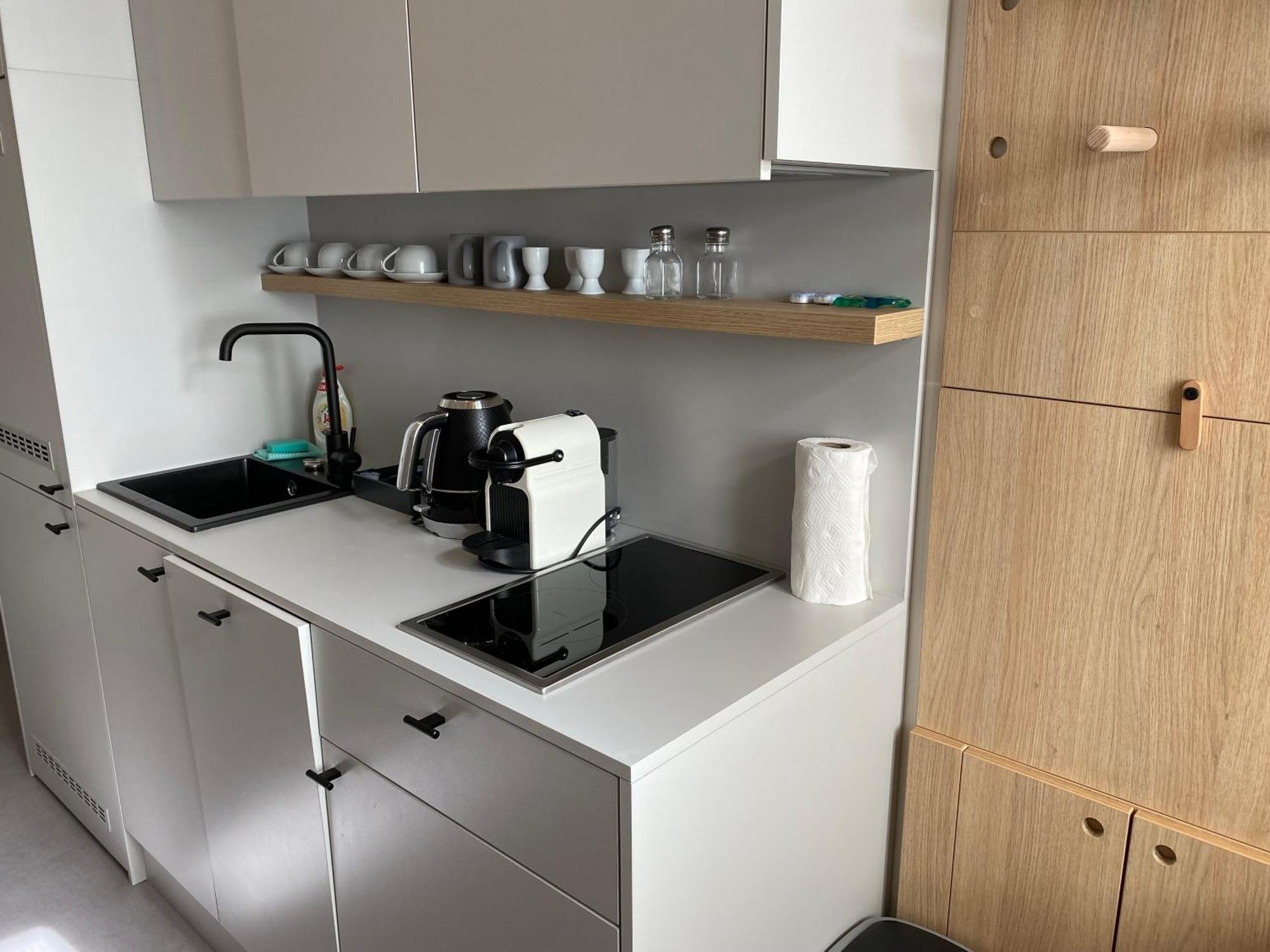 Honest Karlin Aparthotel Prague Bilik gambar